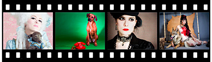 Les chiens et les lévriers de la photographe Vanessa s'amuse alias UnOeilPourDeux Photographie avec des toutous dignes des beaux plus modèles
