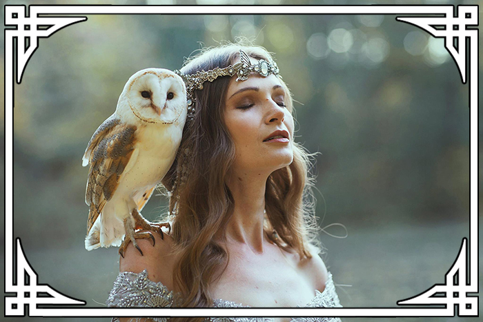 Séance photo animaliere LadyHawke chouette effraie hibou grand duc oiseaux Marketa Novak Couronne A Mon Seul Désir 2018